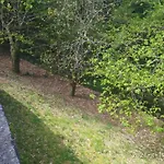 Casa Rustica Isabel Vt Po 00166 Prázdninový dům