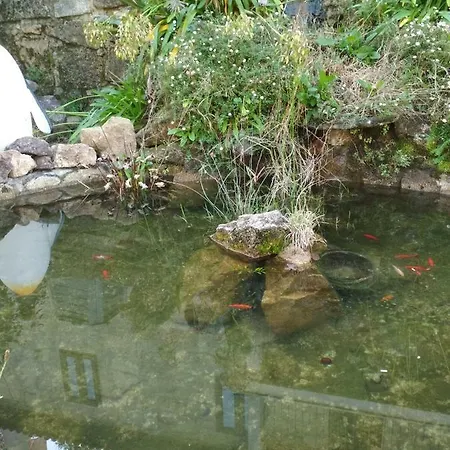 Casa Rustica Isabel Vt Po 00166 Semesterbostad *