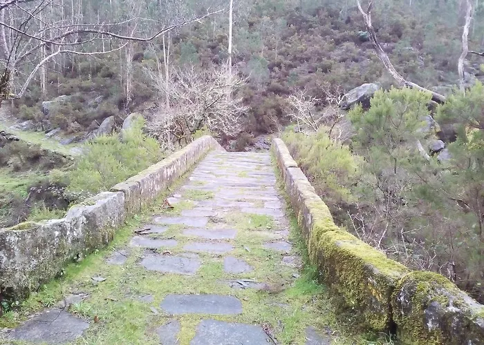 別荘 Casa Rustica Isabel Vt Po 00166 *