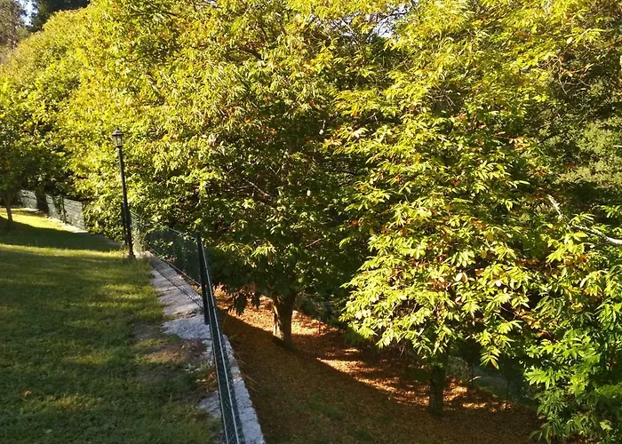 Casa Rustica Isabel Vt Po 00166 別荘 *